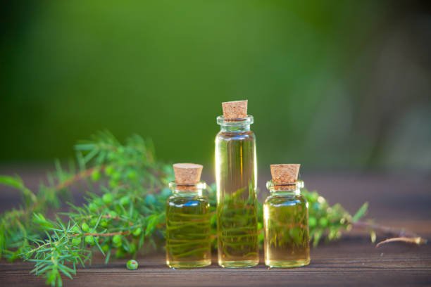 Benefits of tea tree oil