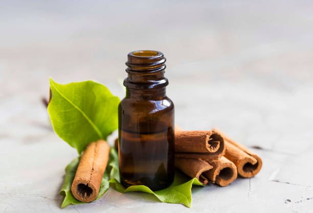 Benefits and Uses of Cinnamon Oil