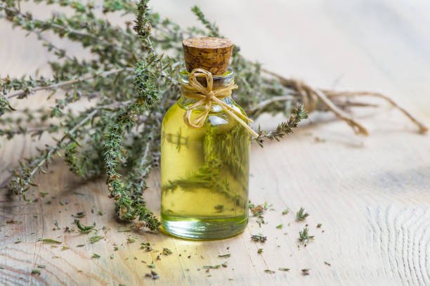 What are the benefits of oregano oil?