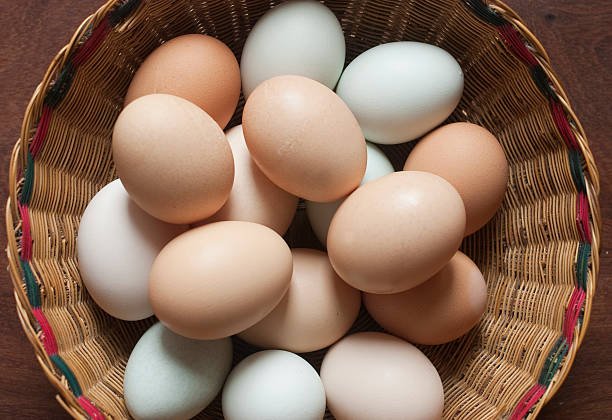 Egg Nutrition Facts and Health Benefits