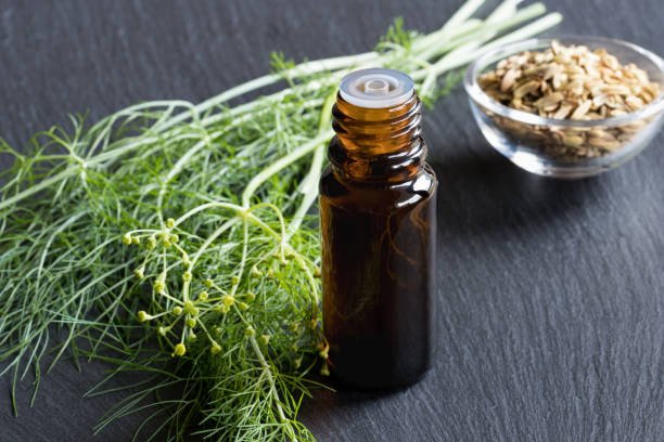 Fennel Essential Oil 